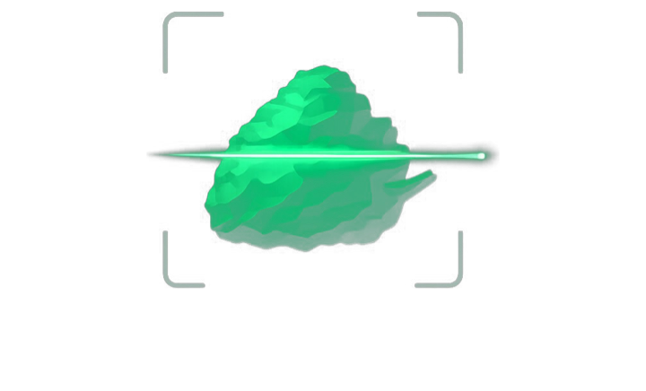 Cannabase